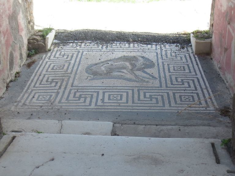House of the Boar